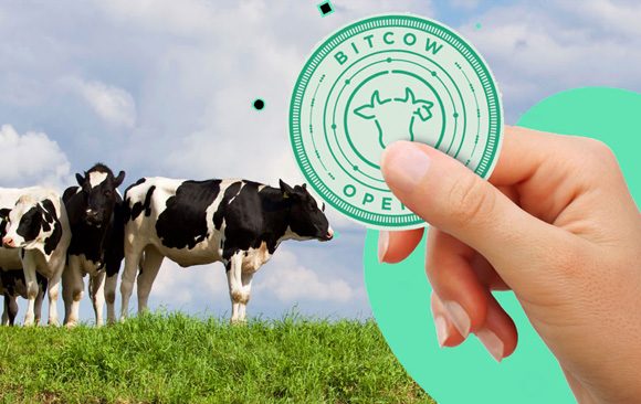 Bitcow